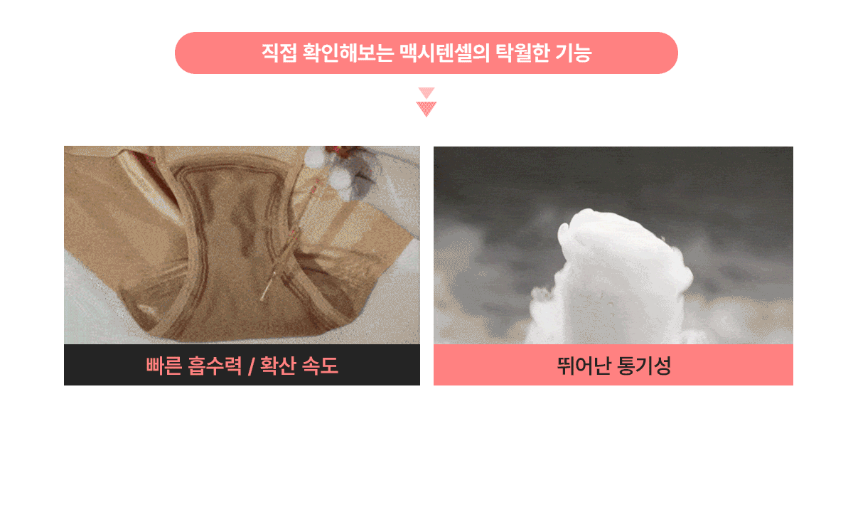 맥시텐셀 상세 이미지 4
